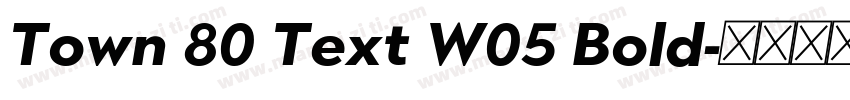 Town 80 Text W05 Bold字体转换